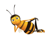 Bee PNG